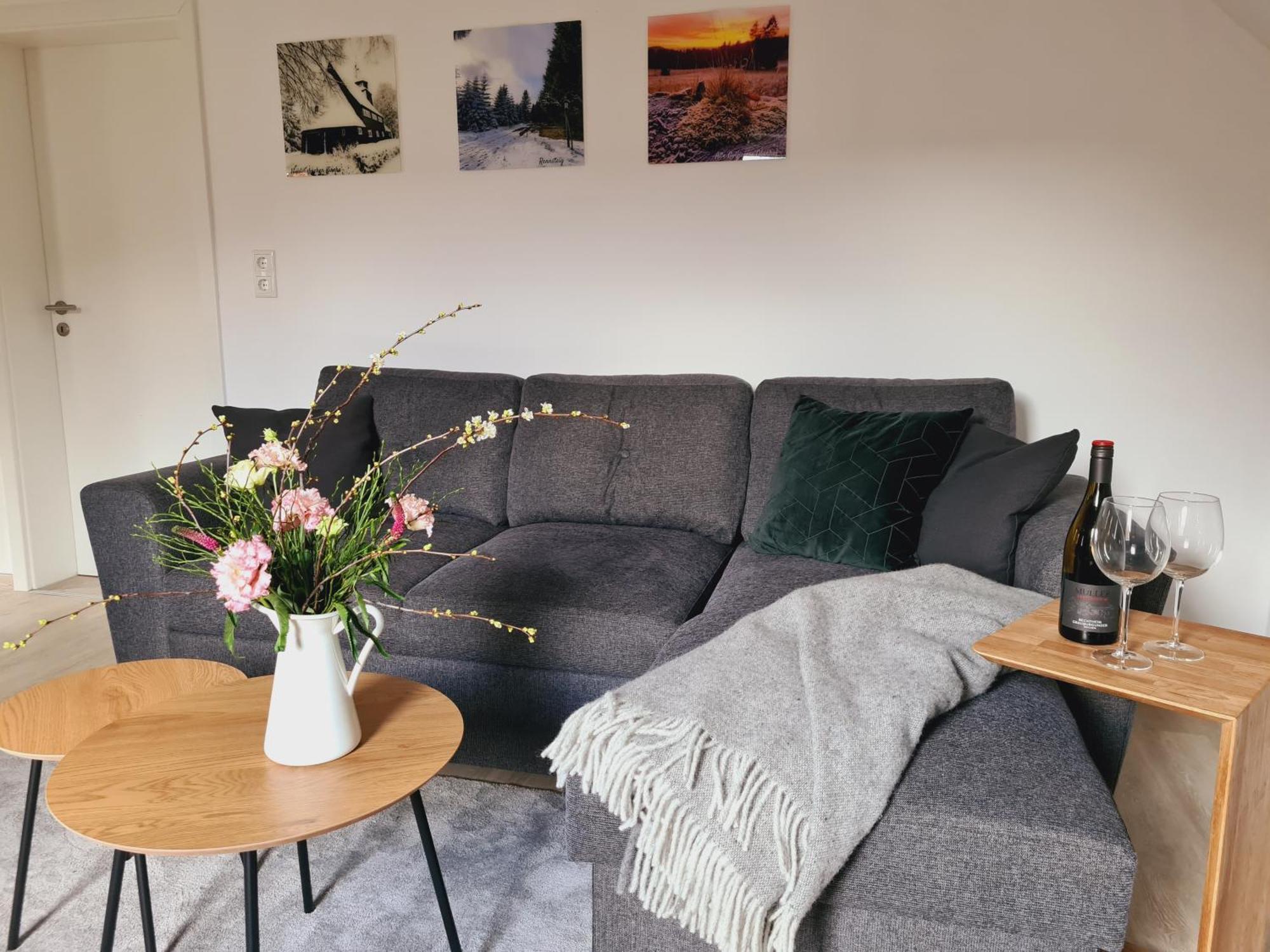 - Zum Alten Fritz - Suhl, 2 Schlafzimmer, 2 Terrassen Apartment